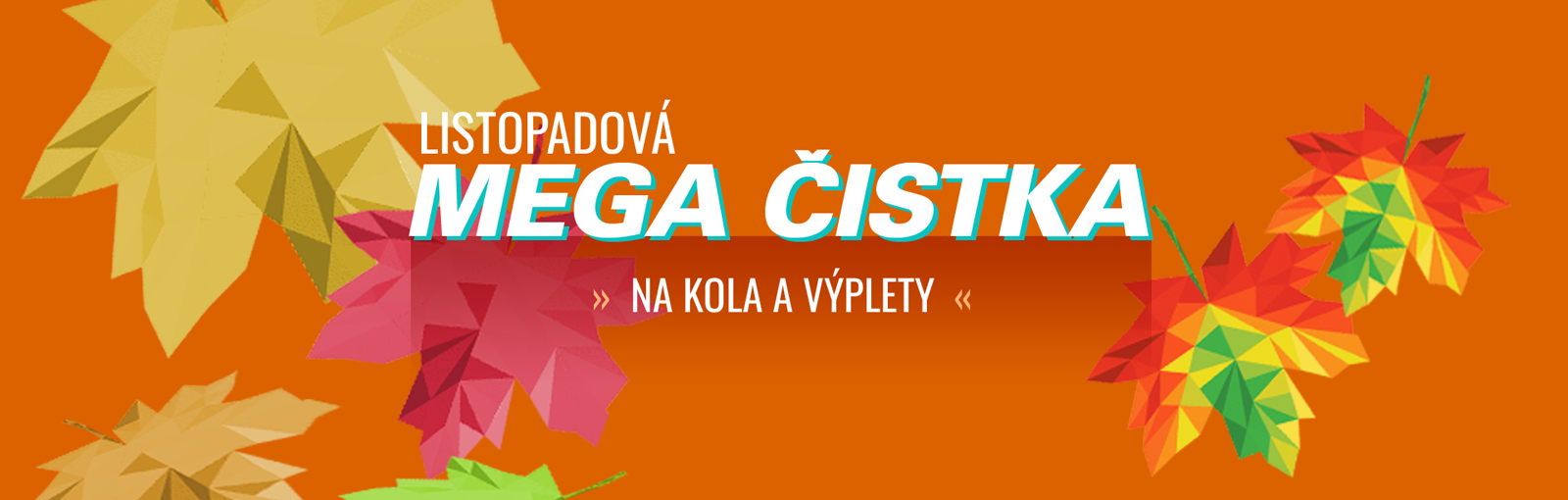 Mega čistka nadpis