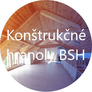 konštrukčné hranoly BSH