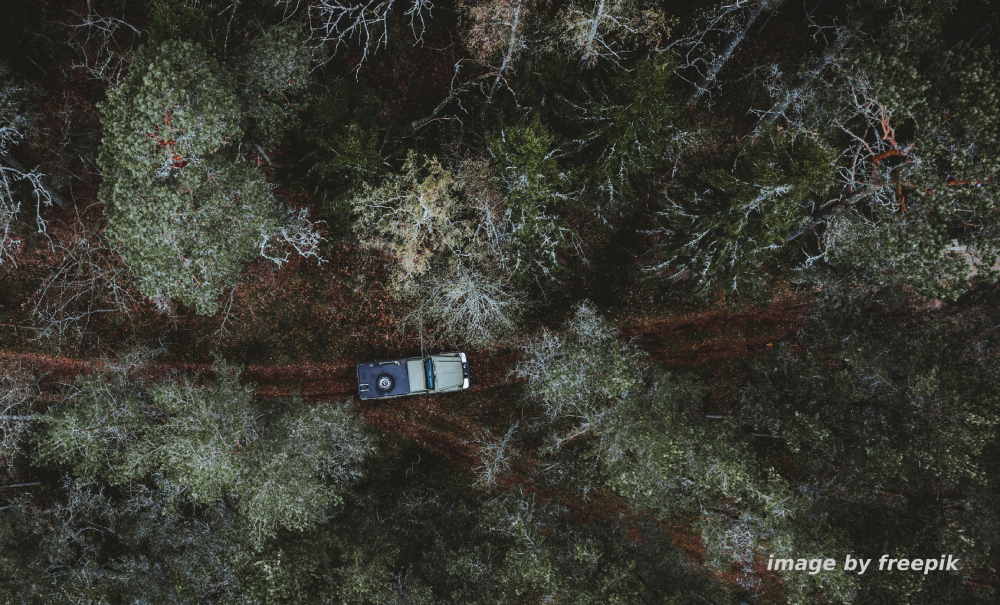 RAPTOR offroad v lese