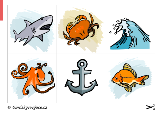 moře flashcards