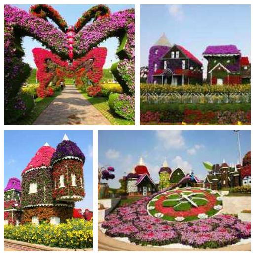 miracle garden 