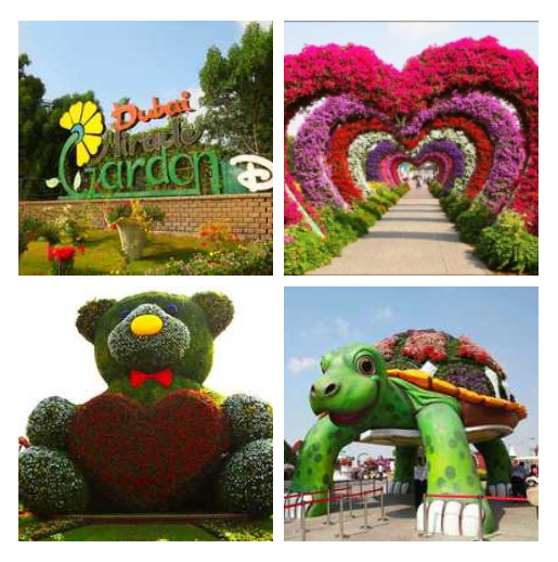 miracle garden