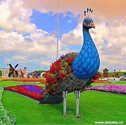 Miracle garden