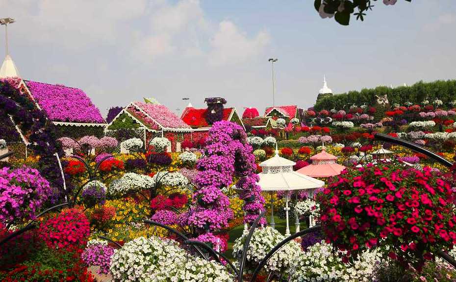 miracle garden