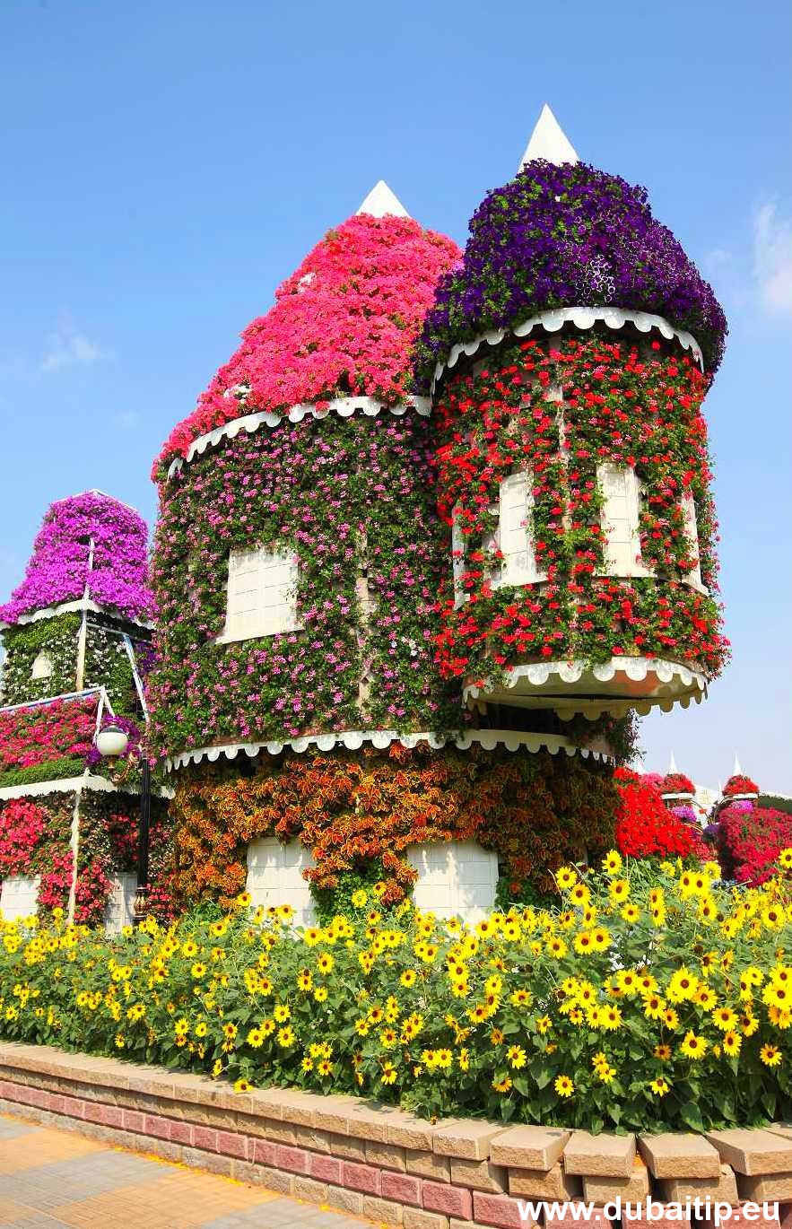 Miracle garden