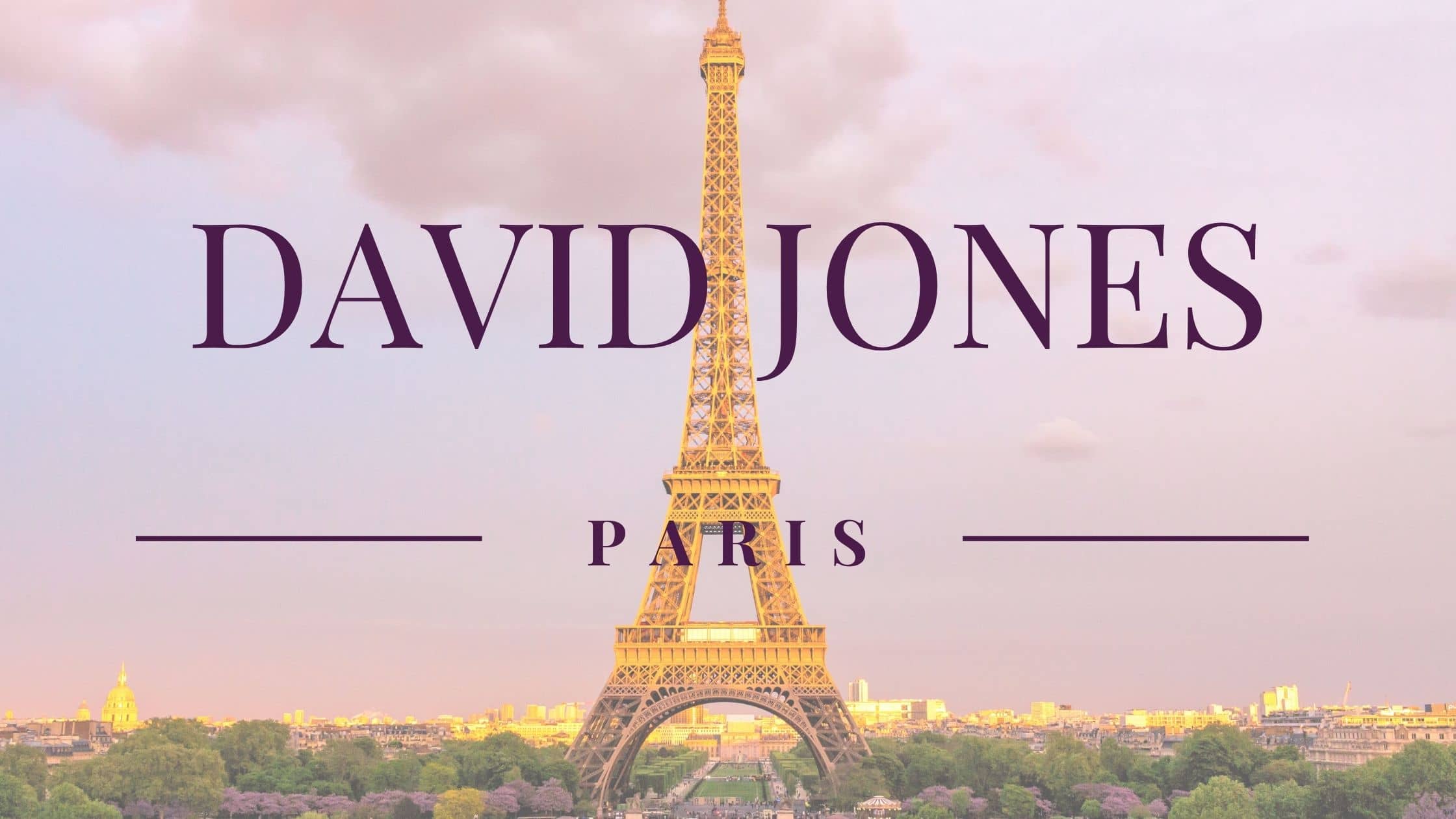 kabelky David Jones Paris