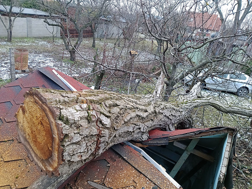 Pád suchého orecha na strechu malého skladu.