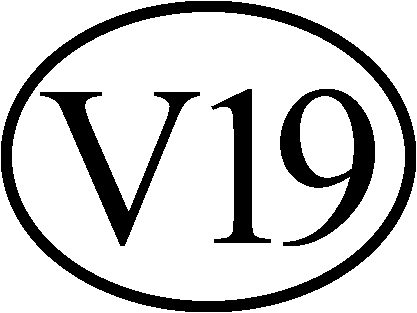 V19
