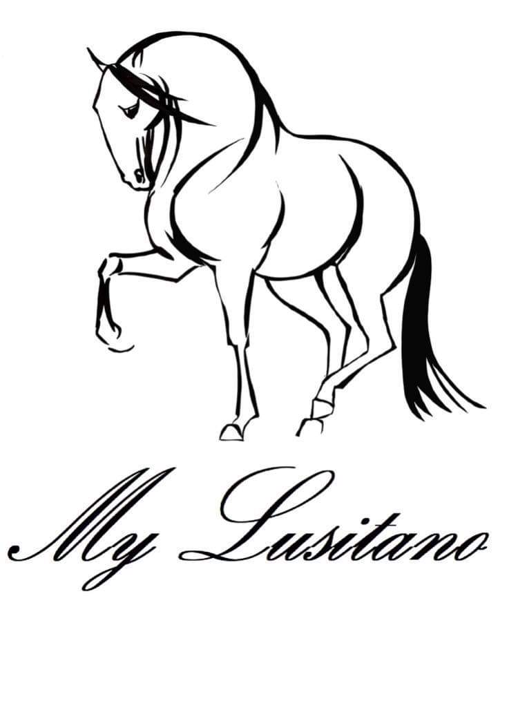 My lusitano MC