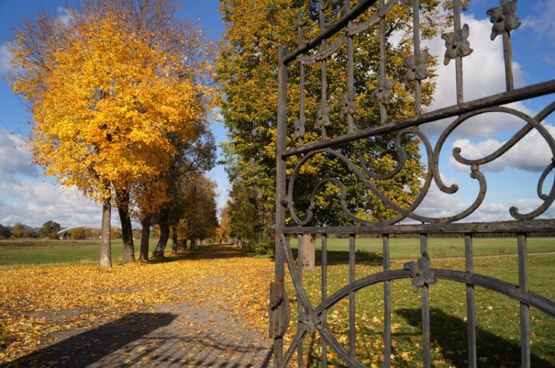 Veltruský zámecký park