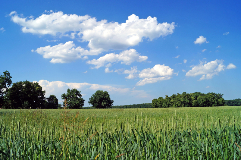 Veltruský zámecký park