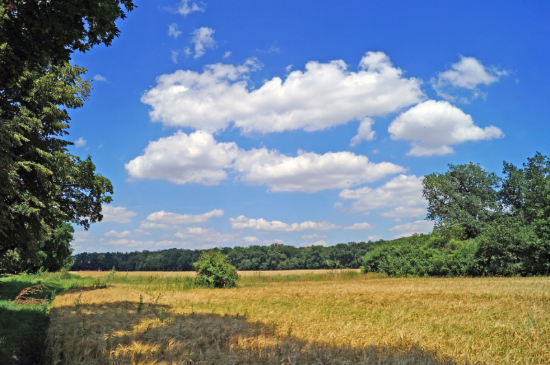 Veltruský zámecký park
