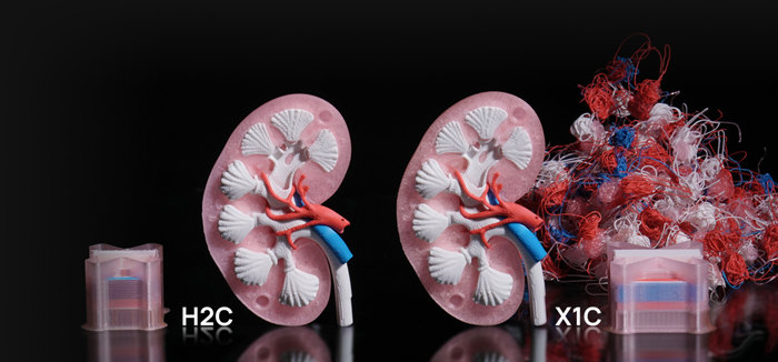 bambulab H2C-Tlac bambulab H2C-Tlac